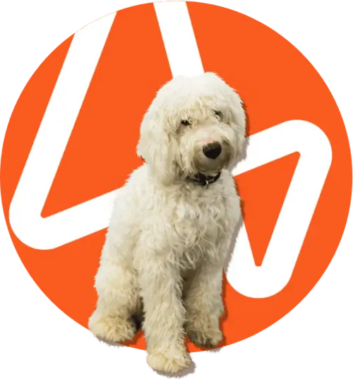 Our Office Dog, Frosty